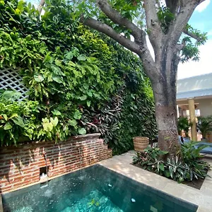 Casa Jaguar Boutique , Cartagena Colombia